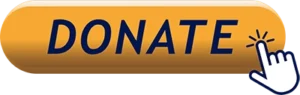donate now